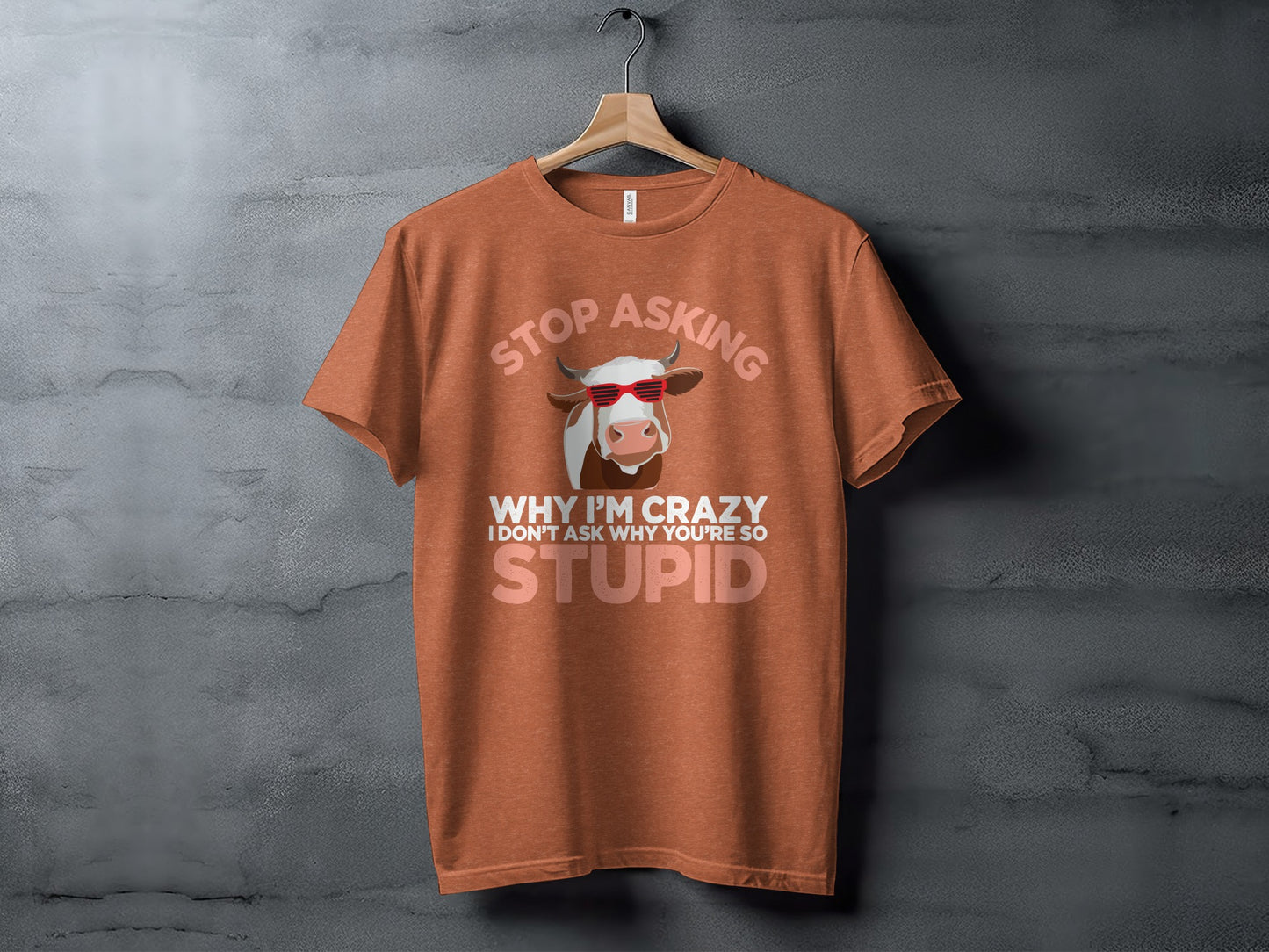 Stop Asking Why I'm Crazy Fun Graphic T-Shirt