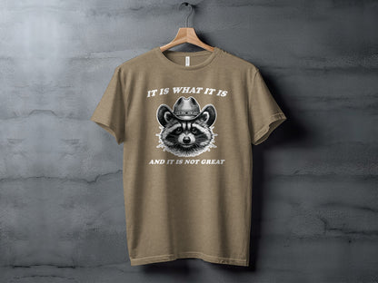 It Is What It Is And It Is Not Great T-shirt product