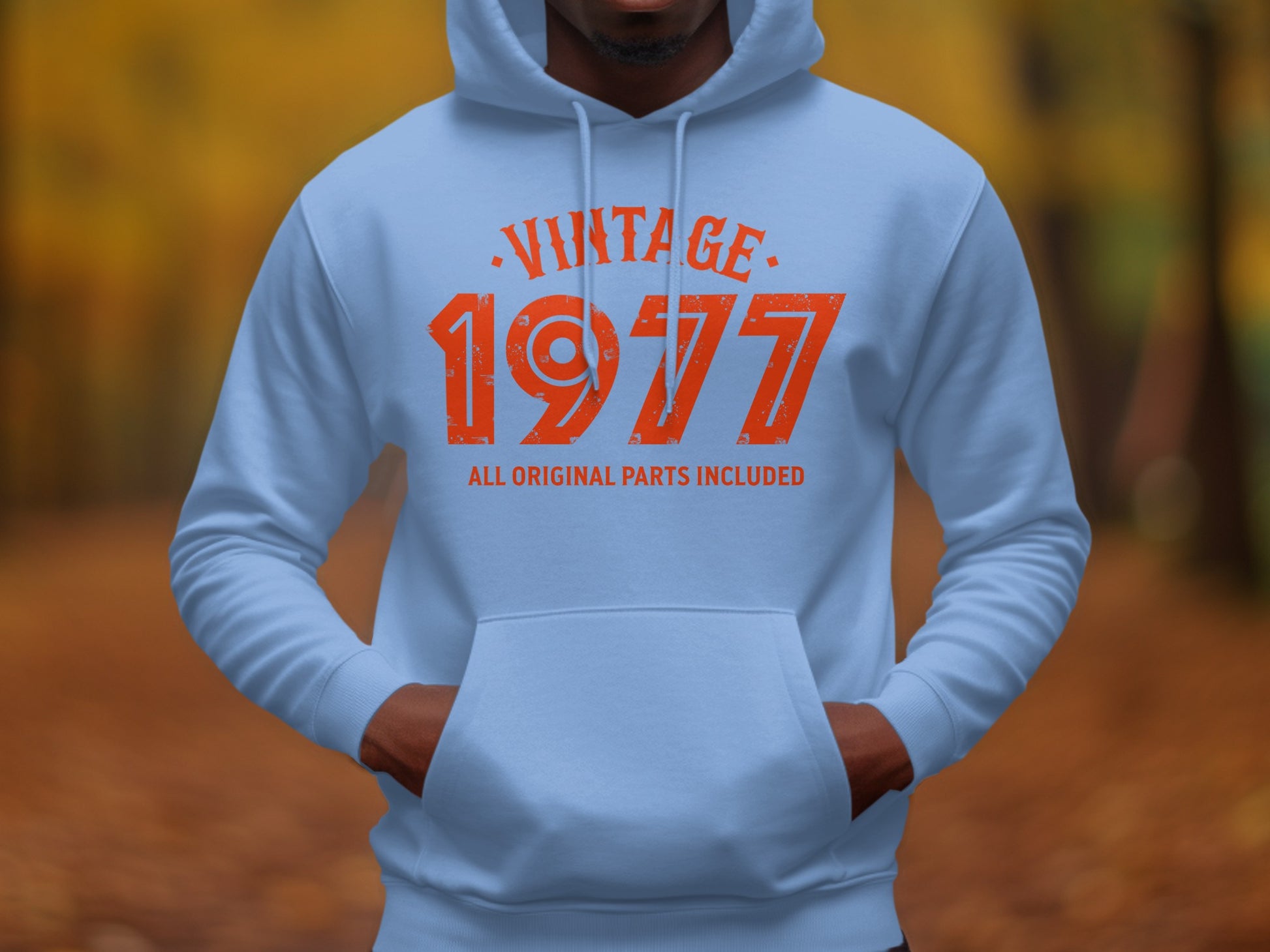 Vintage 1977 All Original Parts Included Hoodie