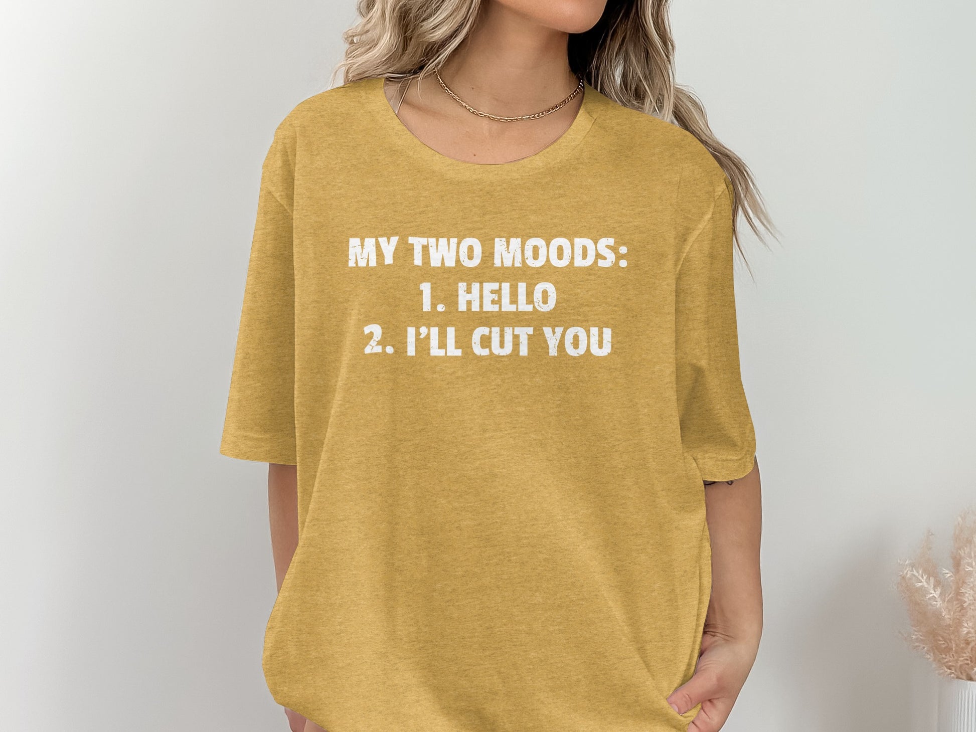 My Two Moods Hello I'll Cut You T-Shirt