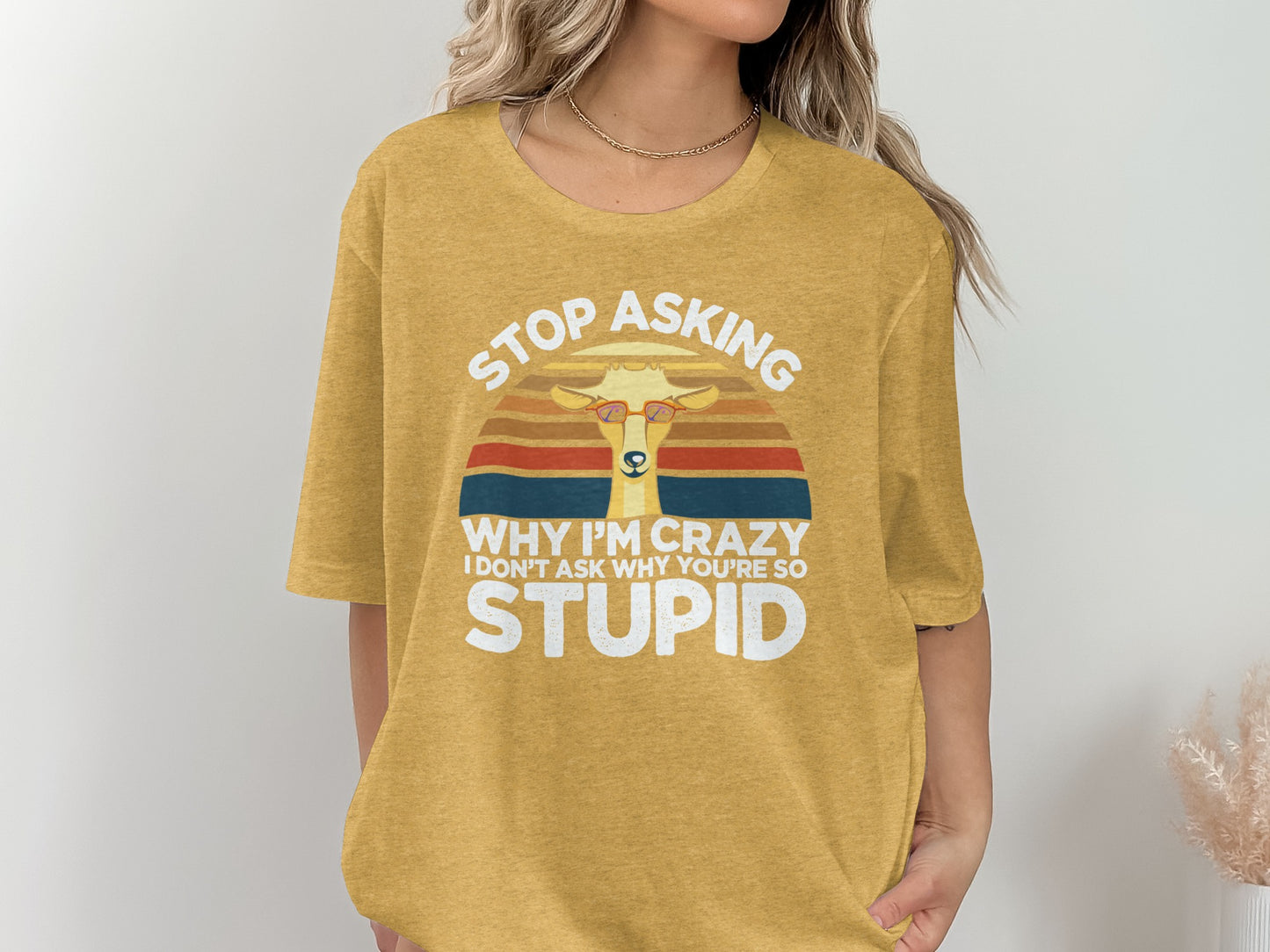 Stop Asking Why I'm Crazy Funny Stupid T-Shirt
