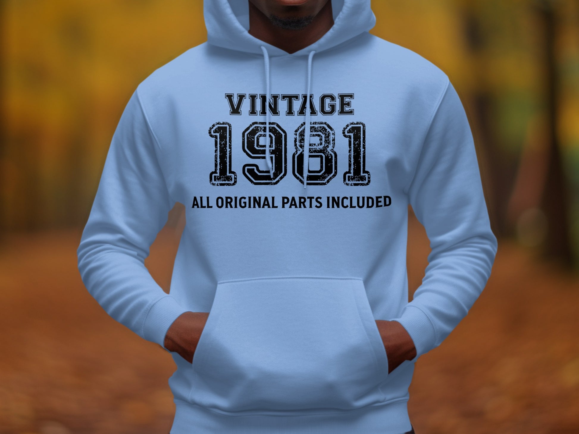 Vintage 1981 All Original Parts Included Hoodie