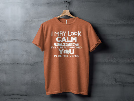 I May Look Calm But Punched You In Mind T-shirt