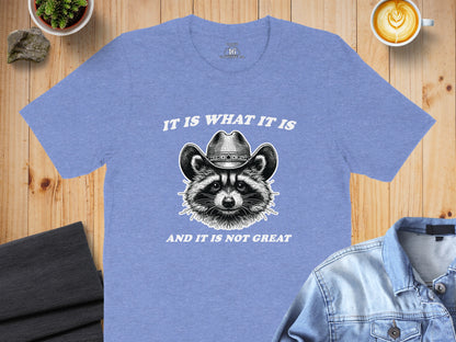 It Is What It Is And It Is Not Great Graphic Shirt