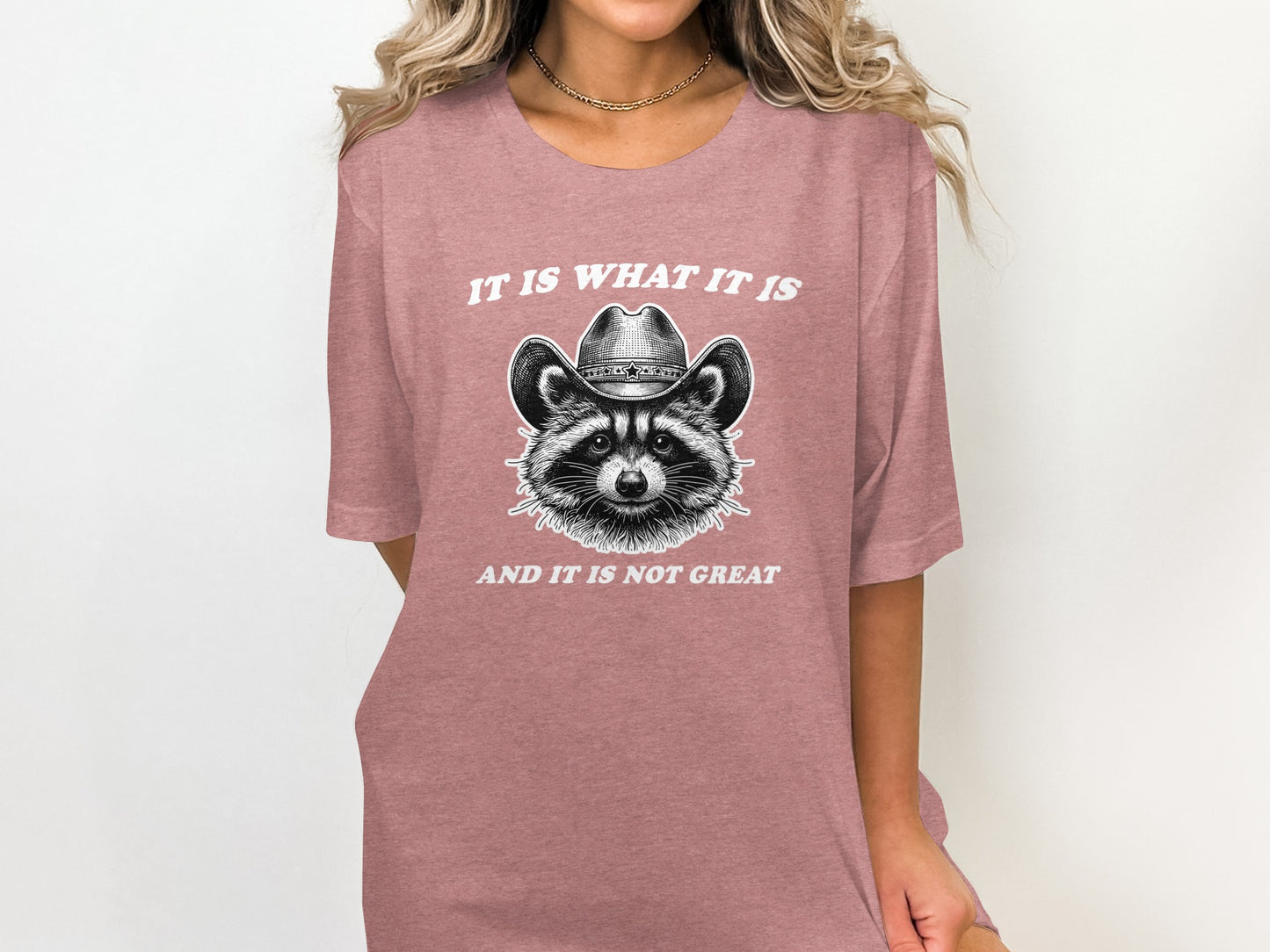 It Is What It Is And It Is Not Great T-Shirt