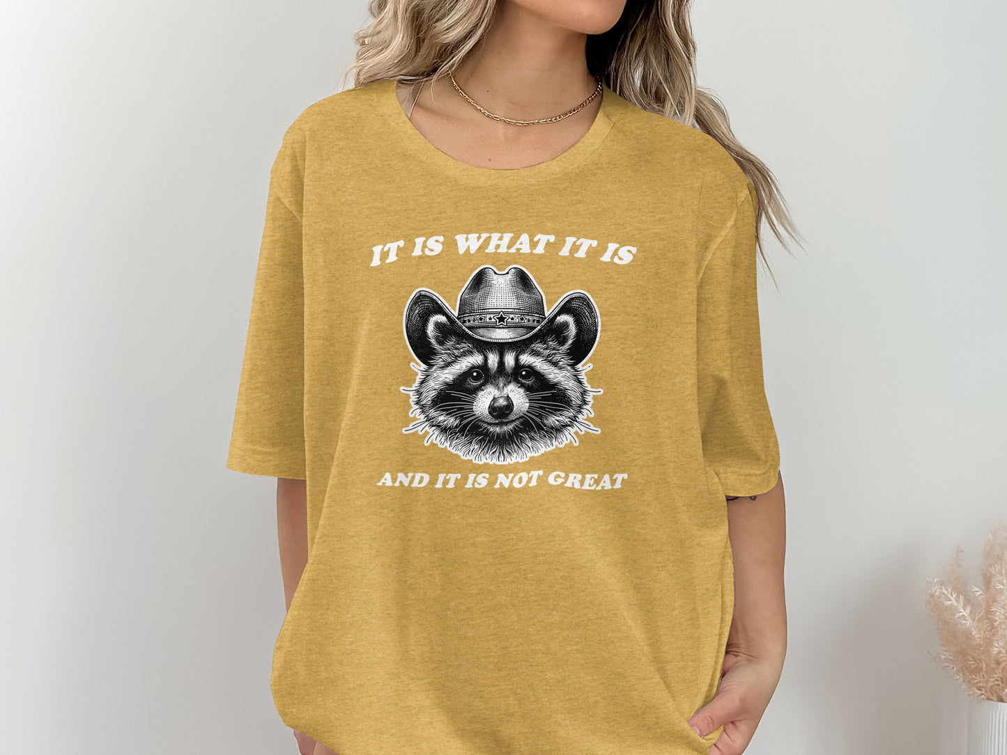 It is What It Is Not Great Raccoon Graphic Shirt