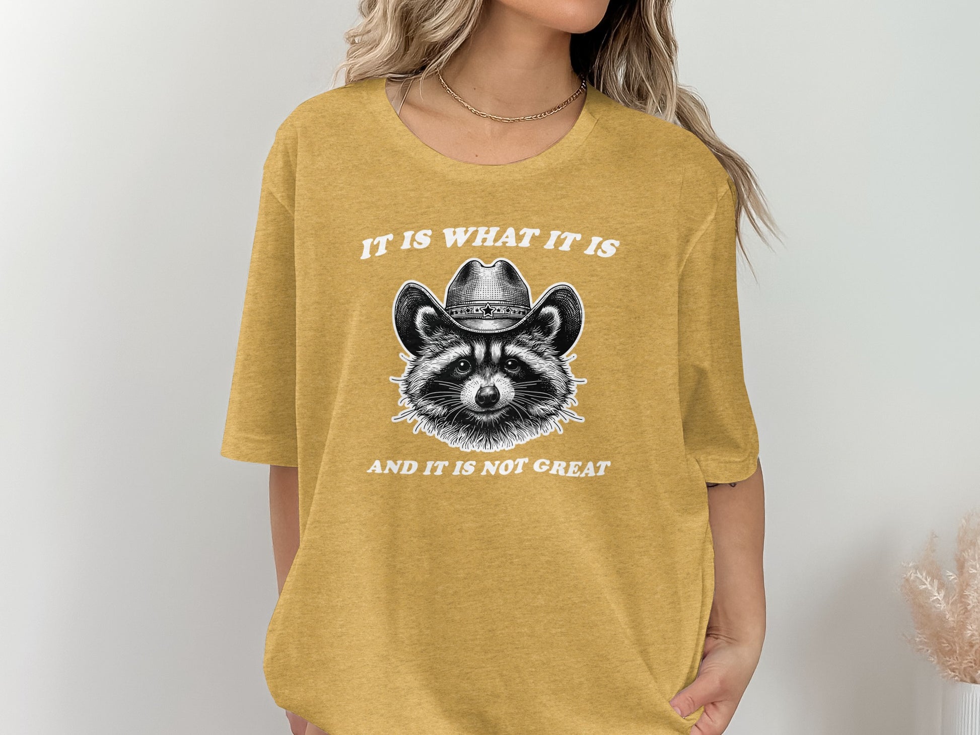 It is What It Is Not Great Raccoon Graphic Shirt