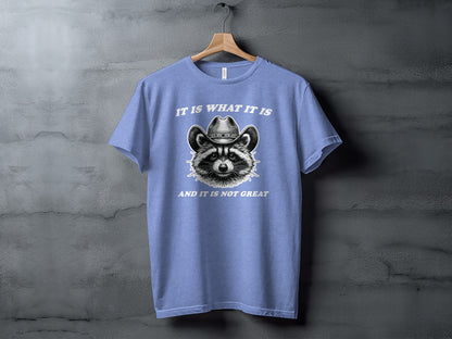 It Is What It Is And It Is Not Great Graphic Tee