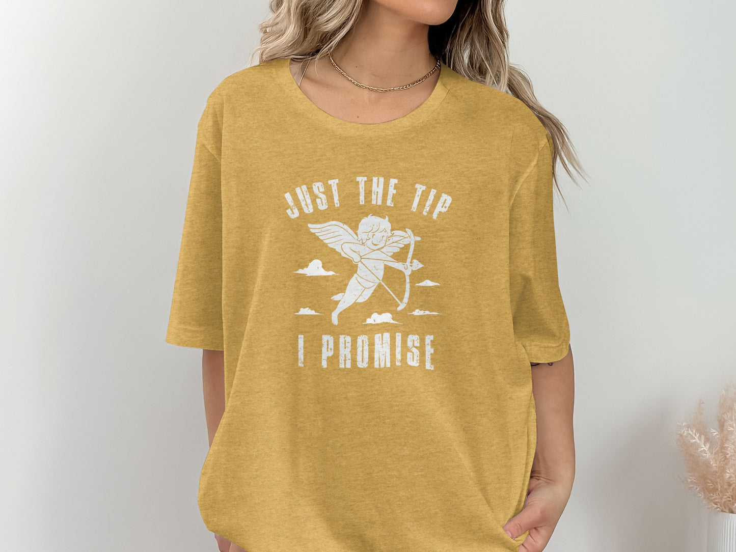 Just The Tip I Promise Funny Graphic Shirt Product