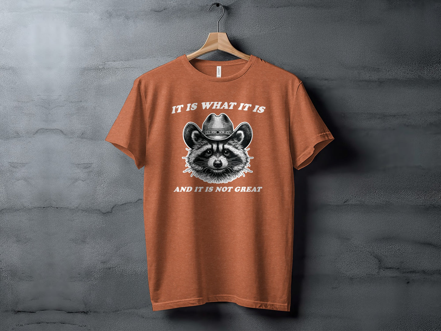 It Is What It Is and It Is Not Great T-Shirt