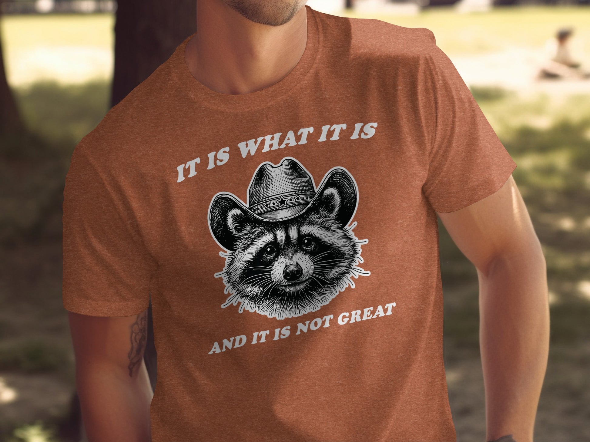 IT IS WHAT IT IS AND IT IS NOT GREAT T-shirt