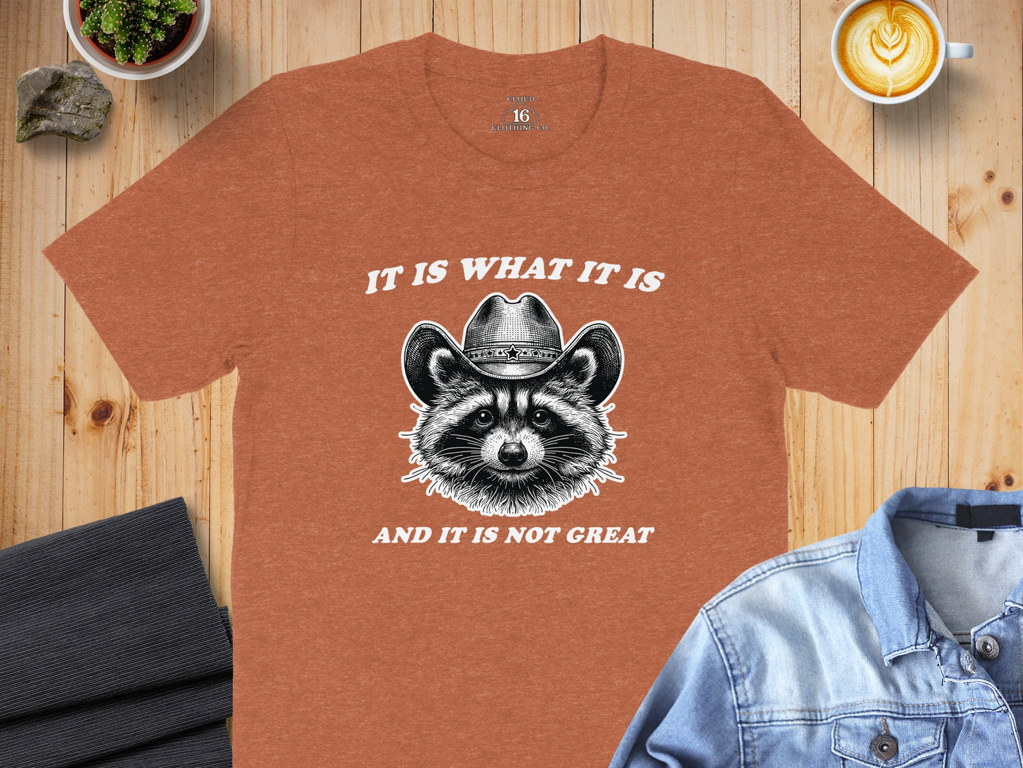 It Is What It Is And It Is Not Great Raccoon T-shirt